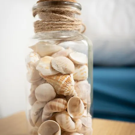 Muschel 50 Holiday home *