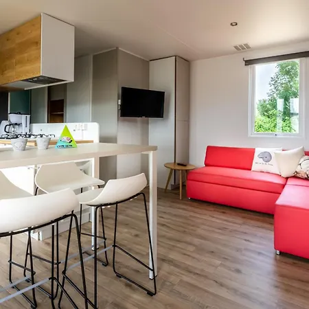 Muschel 50 Scharbeutz