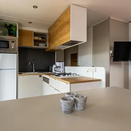 Muschel 50 Scharbeutz