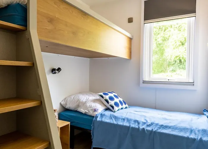 Muschel 50 Scharbeutz