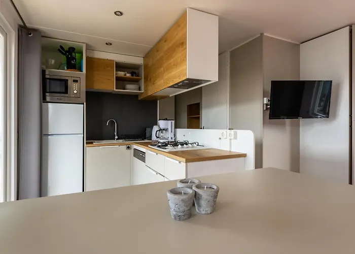 Muschel 50 Scharbeutz